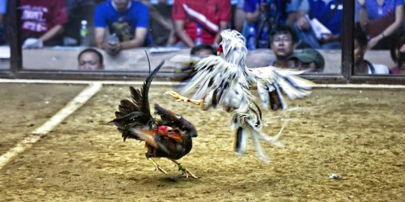 28bet ﻿đăng nhập lô đề uy tín