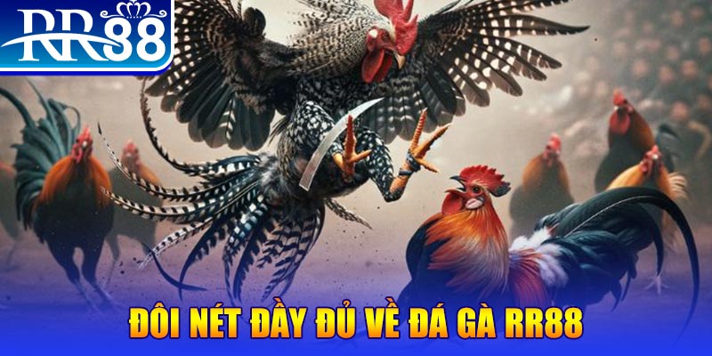 28bet gà chọi hoà phong