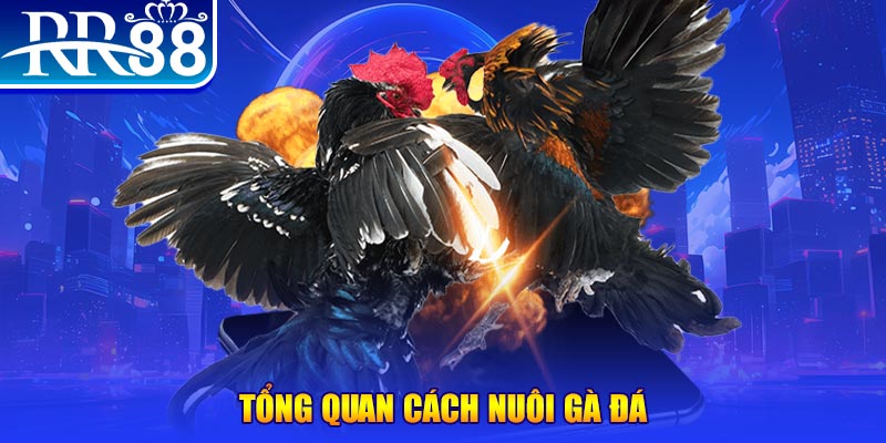 28bet xổ số thứ ba