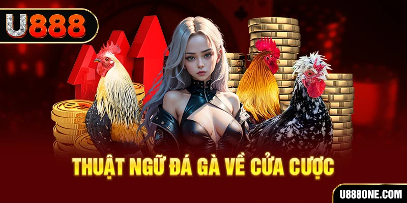 28bet da ga 88