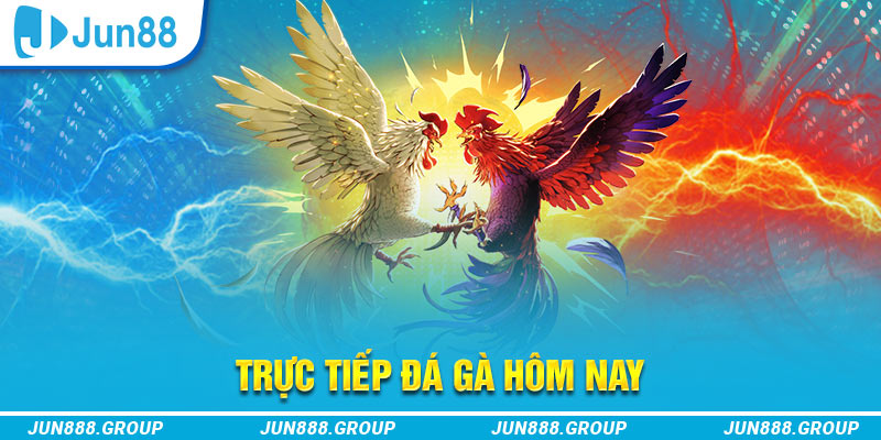 28bet trực tiếp đá gà thomo