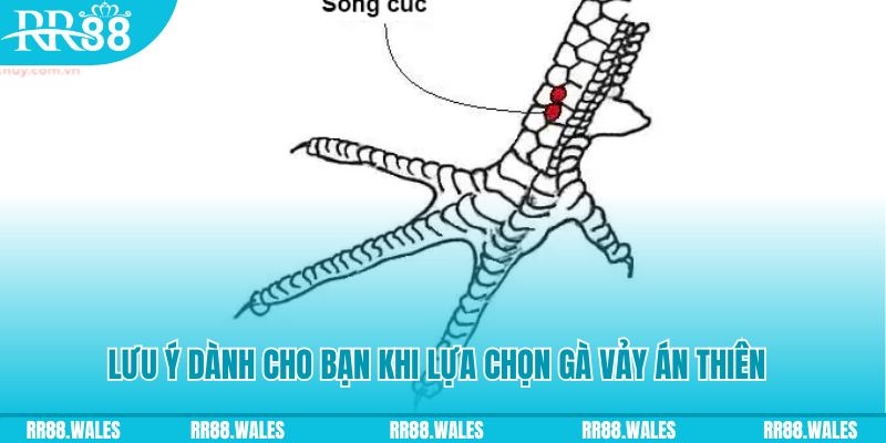 28bet xổ số khánh hòa