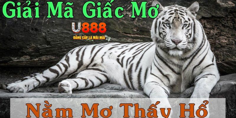 28bet Bài Poker Joker
