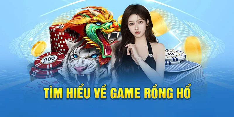 28bet ai tool slot 8.0