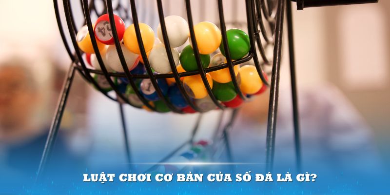 28bet Đĩa màu ace