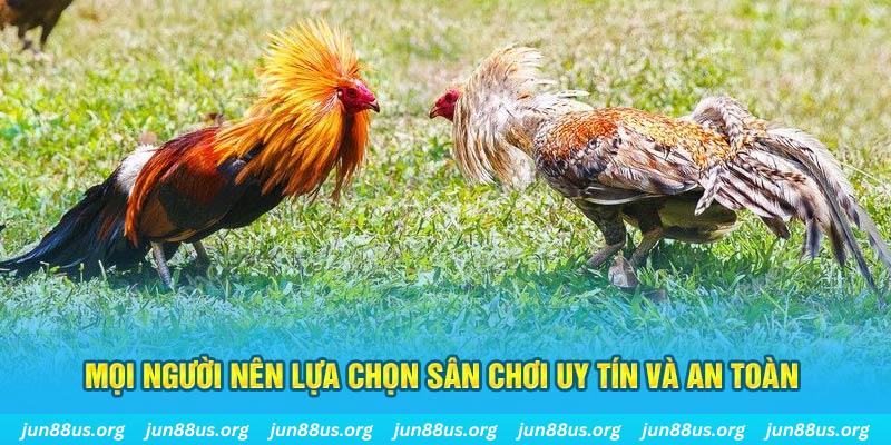 28bet Tài Xỉu