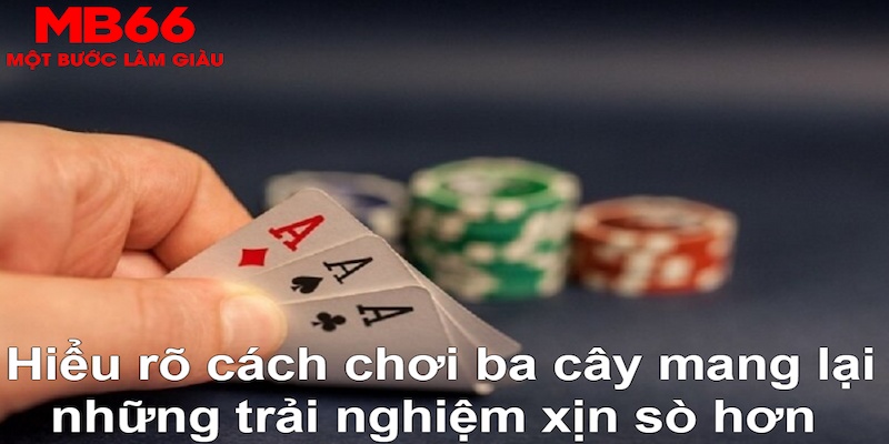 28bet DB Trực Tuyến