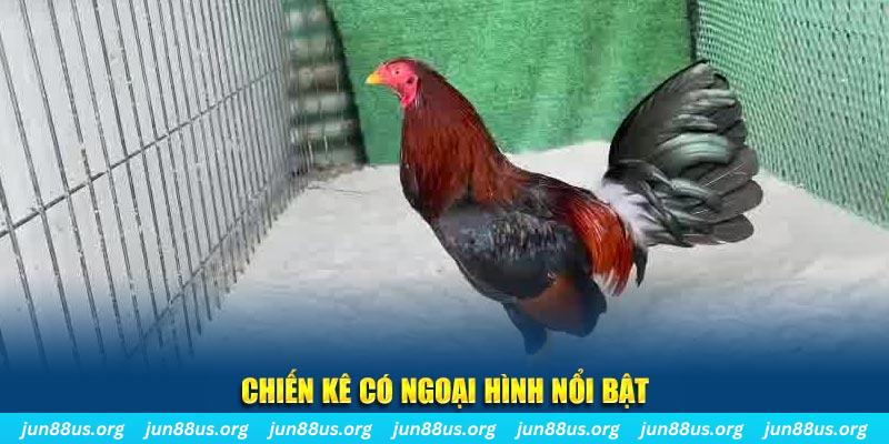 28bet nhạc slot là gì