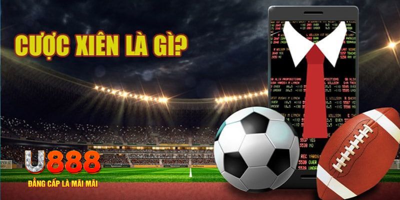 28bet đá gà thomo hôm nay